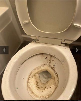 Hot kettle cleaning service