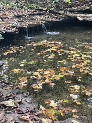 Montour Woods Conservation Area