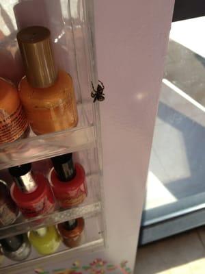 This place is dirty, substandard, and downright creepy.