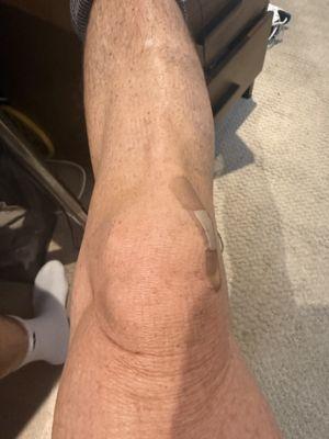 David S. Gazzaniga, MD