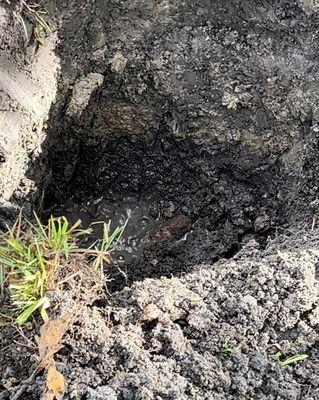 Bullseye Leak Detection