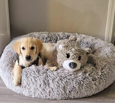 Compassionate Care Veterinary Hospital