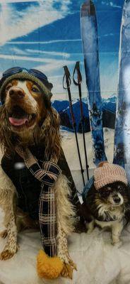 14th Street Animal Hospital