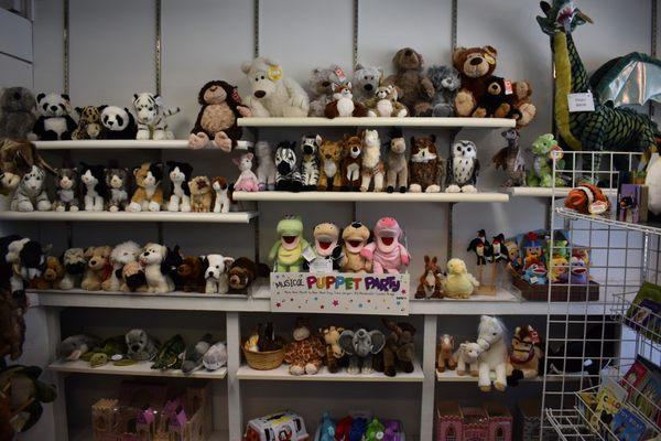 Blue Turtle Shop LLC