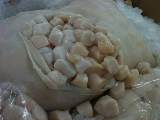 Whaling City Seafood Display Auction