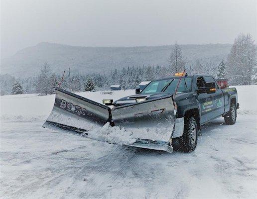 The Eliminator Pest Control and Lawn Care