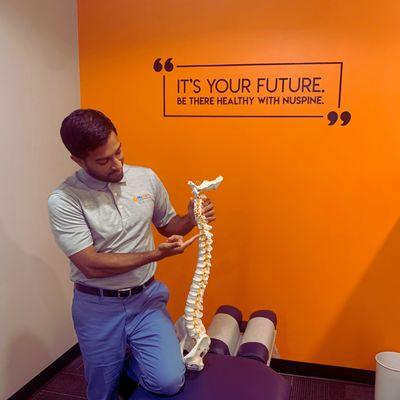 Our team is dedicated to educating our patients about how a healthy nervous system is key to obtaining optimal health!