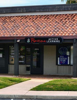 Pinecone Active Learning