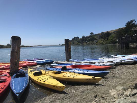 Kayaks at the water's edge.