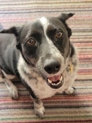 Killed by Canady pest control!