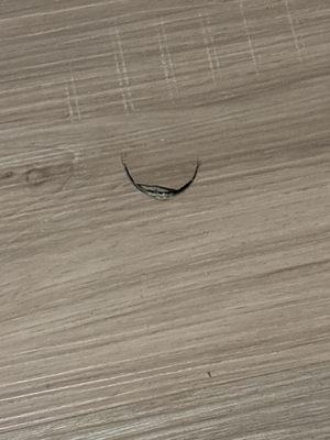 Damaged flooring