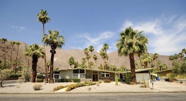 Marco Colantonio Realtor