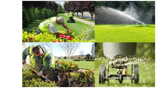 Full Service Maintenance and Sprinkler Installation