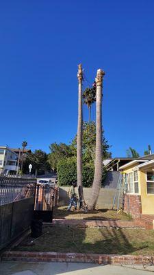 Porta Wrap rigging for safety .