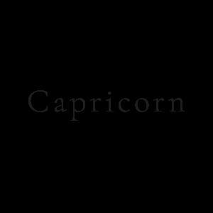 Capricorn Real Estate Group