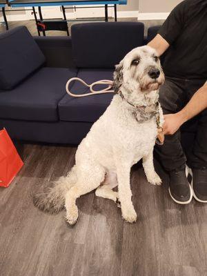 The Sylvia Brafman Mental Health Center