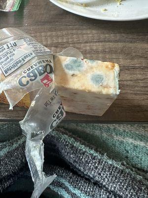 Moldy cheese with expiration date of next March.