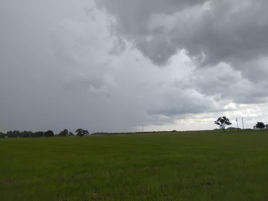 Rick's Mowing and Landscaping