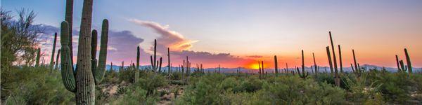 Carelon Health Care Center