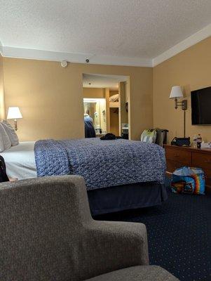 Photo of the room sitting on the couch, which is a bed when folded out.