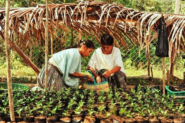 Ecologic Development Fund