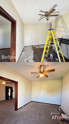 Duplex painting