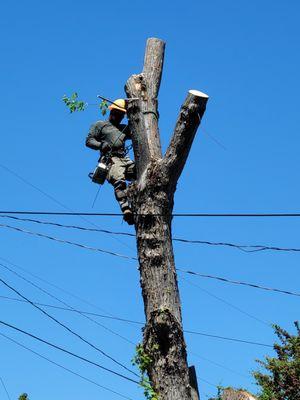 Fords Affordable Landscaping And Tree Service