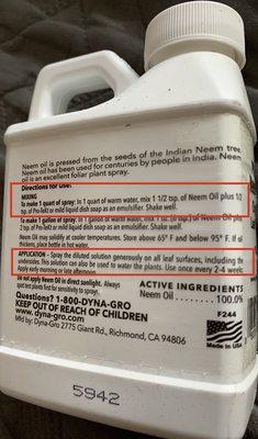 How to make the neem oil spray bottle solution