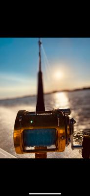 South Coast Charters