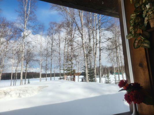 H&H Lakeview Bar And Restaurant