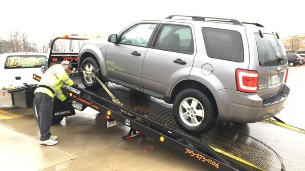 Teddie loading up my SUV.