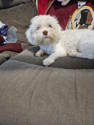 Belcher Animal Clinic