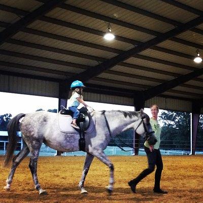 Southern Cross Equestrian