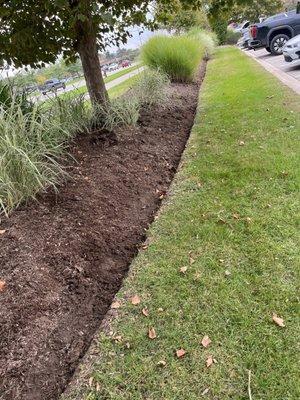 JT's Landscape Maintenance