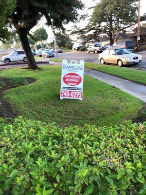 Tamerlane Apartments