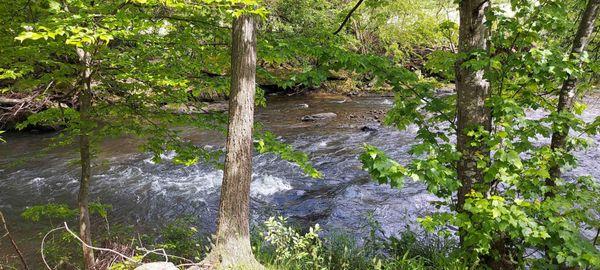 Tiny Homes at Jonathan Creek