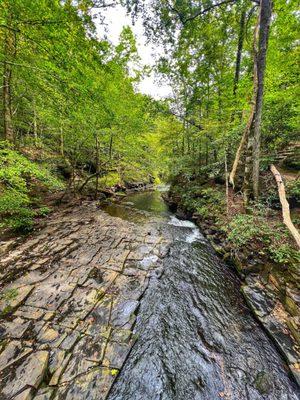 Laurel Bluff Trail to Busby Falls (as viewed from Collier Horn Bridge