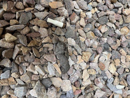 Partenza on Highland