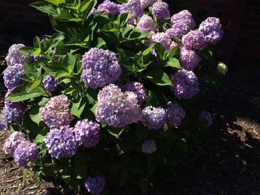 Fuquay Mineral Spring Park