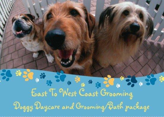 At East to West Coast Grooming we offer doggy daycare packages!