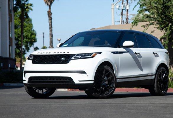 Greylock Exotics Car Rentals