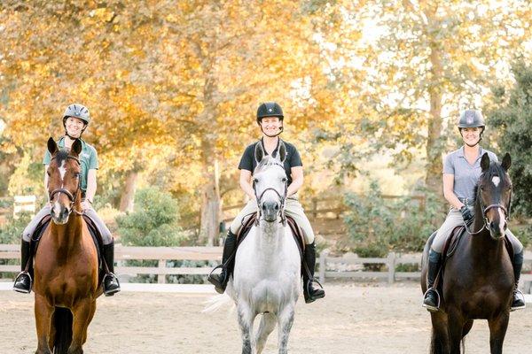 Orange County Equine Veterinary Services