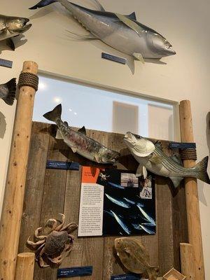 NOAA Greater Farallones National Marine Sanctuary