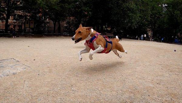 ProHEALTH Garden City Radiation Oncology