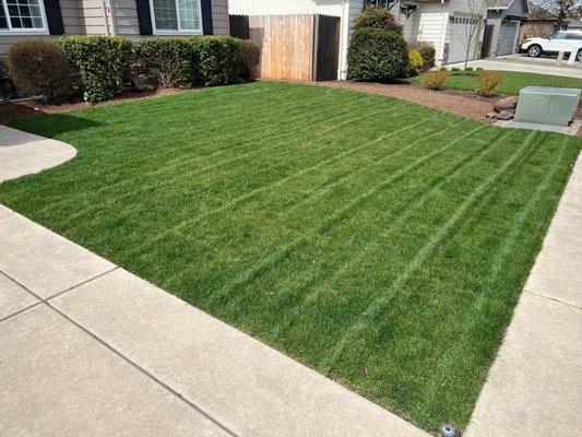 Lawncare & More