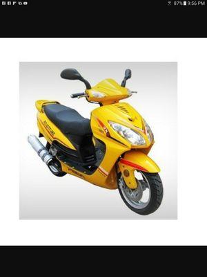 Motorsports Playground