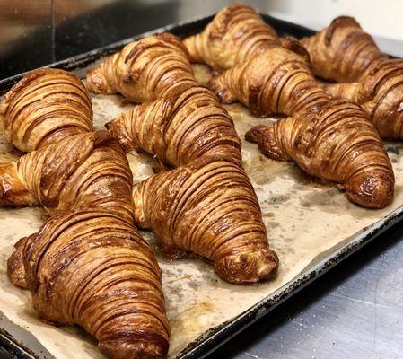 Midnight Bear Breads