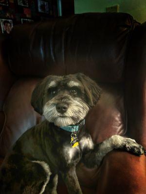 Ashli's Farm-Flowers-Fur