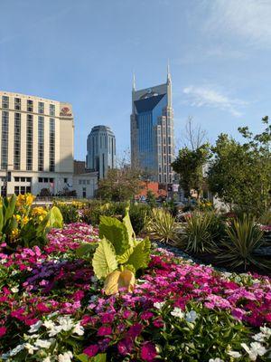 A botanical view of the Nashville Hilton and the AT&T Building.