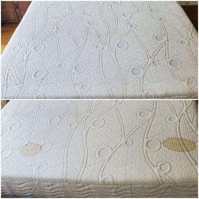 Green and Clean Services